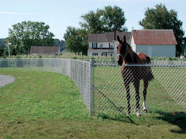 حصار حلقه زنجیره ای گالوانیزه برای نگهداری اسب