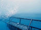 تور ماهیگیری دریایی از سیم پلی استر 2.5-3 میلی متر برای پرورش آبزیان