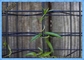 Eco Mesh Modular Plant Trellis System / دیوار سبز سیستم ترلین 50x50mm