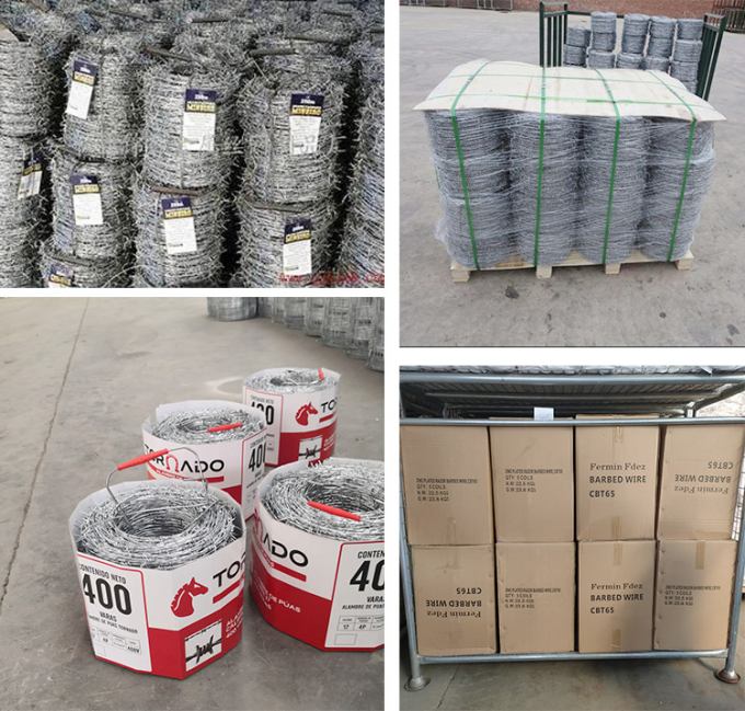 قیمت پایین کنسرتینا گرم غوطه ور گالوانیزه سیم خار دار 3