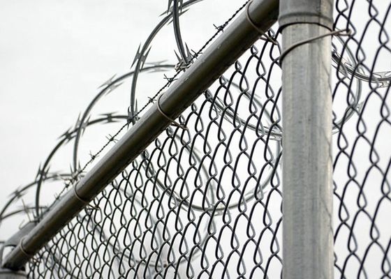 قیمت پایین کنسرتینا گرم غوطه ور گالوانیزه سیم خار دار