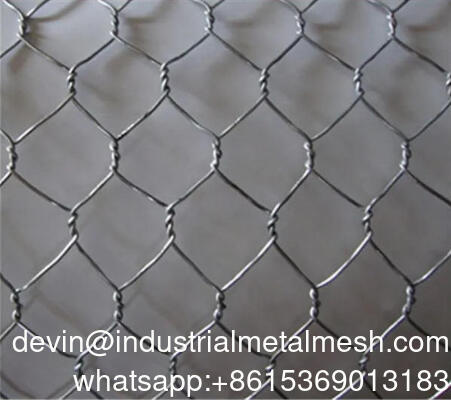 Sturdy Galvanized Steel Hexagonal Protective Net-Multi-Functional Welded Animal Cage Mesh