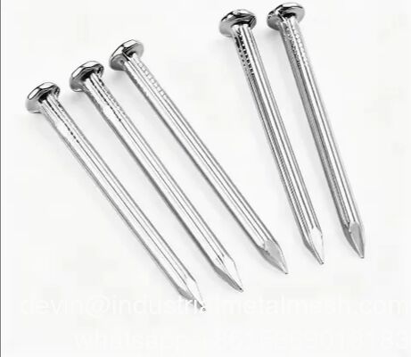 Polished Hardened Good Quality Common Nail 2.5 Inch