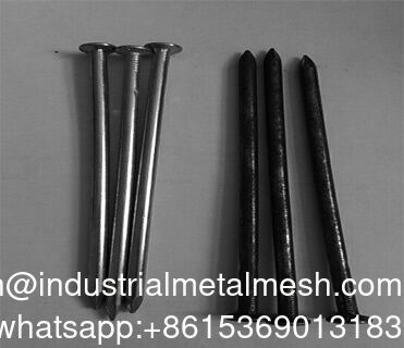ناخن های گالوانیزه سیم معمولی ناخن های سر صاف