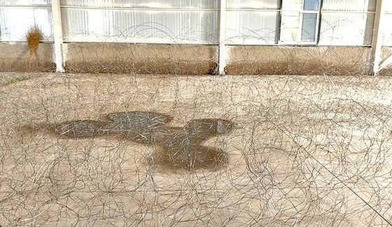 موانع فولادي نامرئي پوتانکا MZP با 10 متر دور