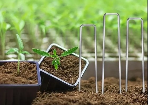 شبکه حشرات ثابت کردن پگ چمن محکم کردن SOD استیپل های گلواسی استیل باغ ناخن