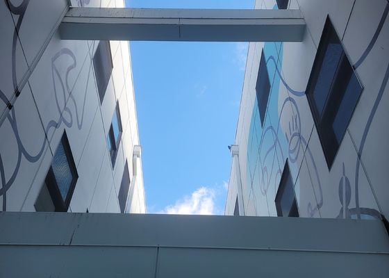 مش طناب سیمی 316 ضد خوردگی فولاد ضد زنگ برای محافظت و ایمنی