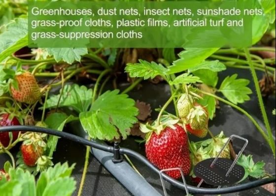 چمن گرم چسبیده گالوانیزه نوع U چمن باغ چمن چمن چمن چمن اصلی چمن ناخن 9 اندازه قطر سیم