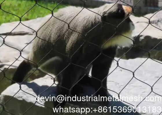 فروش داغ مش سیم طناب استیل ضد زنگ انعطاف پذیر