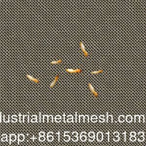 AISI 304 316 316L ضد موریانه از فولاد ضد زنگ