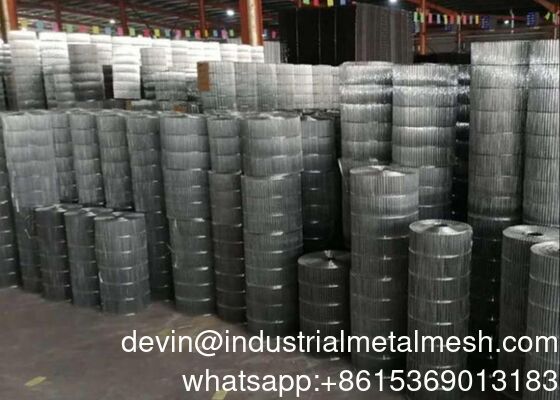 1/4"-2" AISI 304 316 316L فولاد ضد زنگ براق سیم جوش برای حفاظت