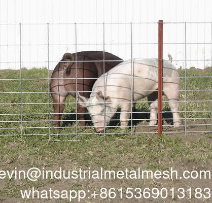 ورق مش جوش داده شده گالوانیزه 6 میلی متری حصار باغ