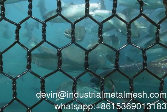 2.0-4.0mm پلی استر گیبیون شبکه پالتو گیبیون شبکه زیست محیطی