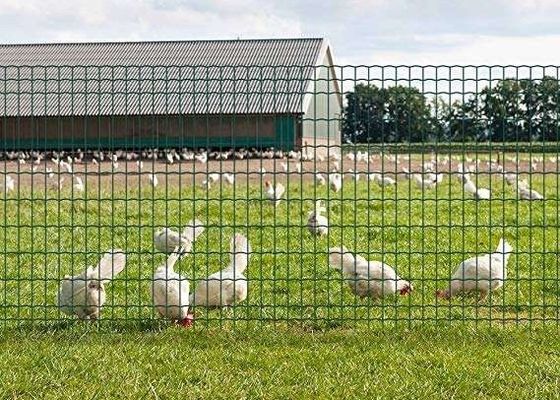 مش سیم تقویت کننده فولادی جوش داده شده 6 میلی متری برای صفحات بتنی