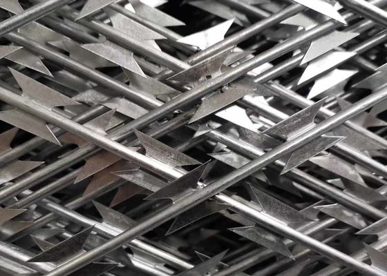 Razor Wire Razor Wire Galvanized Hot Razip 2.9m برای امنیت