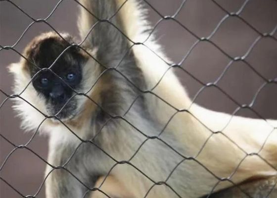 توری طناب سیمی استیل ضد زنگ Ss 304 Ss 316 توری طناب فرول استیل ضد زنگ برای فروش